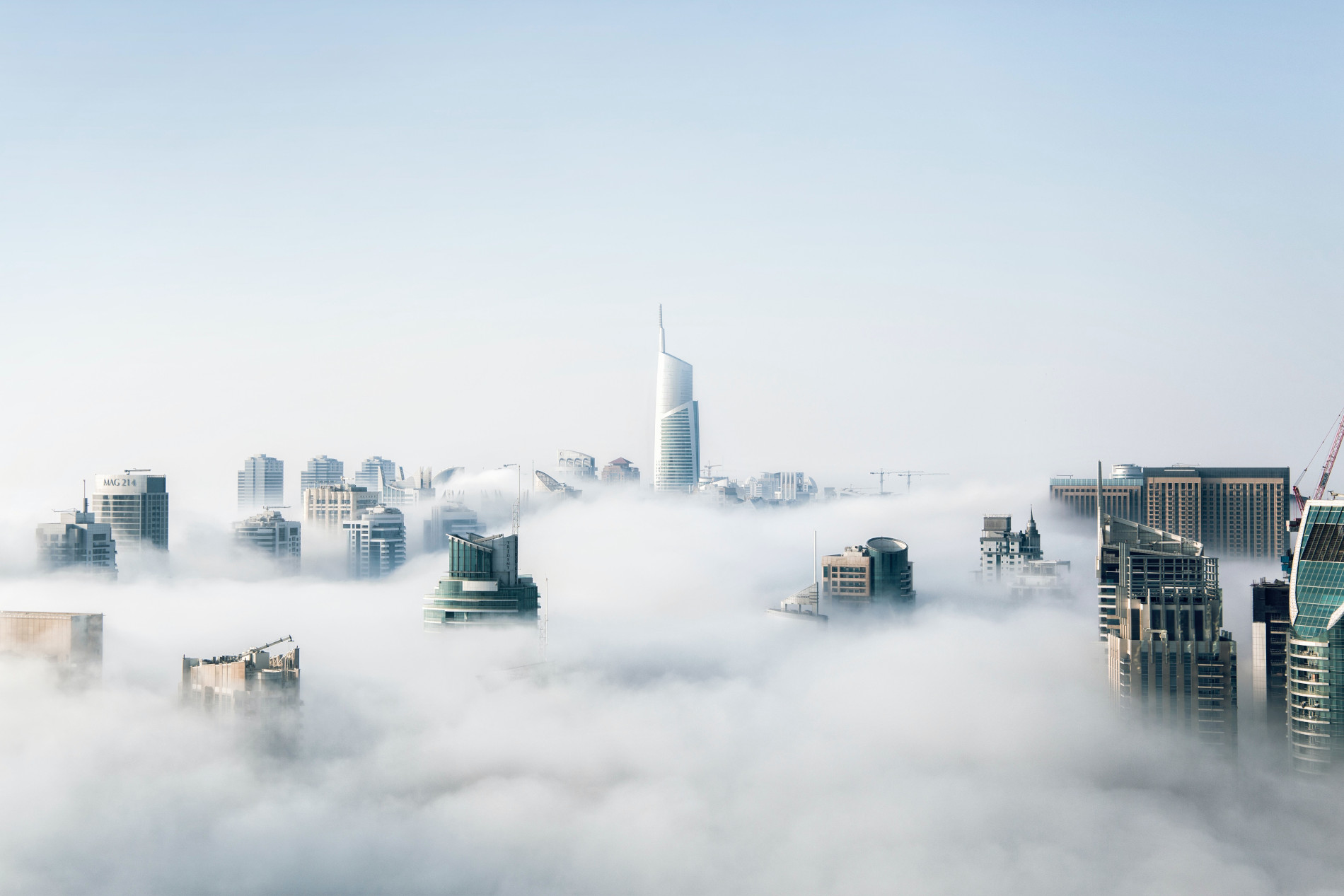 Skyscrapers in the mist.