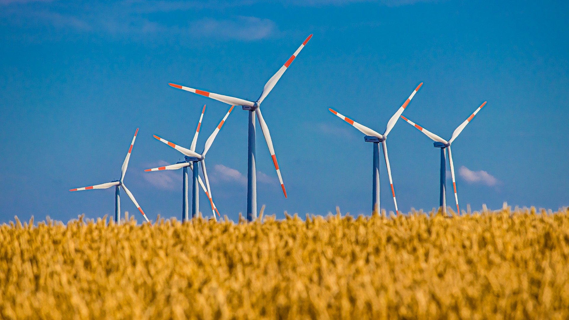 Image of wind power plant.